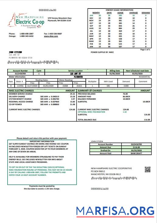 Downloadable USA New Hampshire Electric Co op electricity utility bill template in Word and PDF format